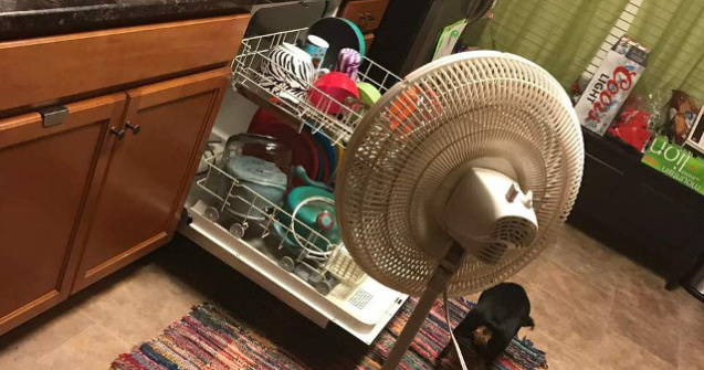  Top  10+ momente in care sotii au reusit sa isi amuze sotiile cu "micile" l