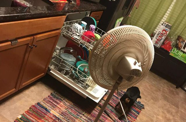 Viata de cuplu: 10+ momente in care sotii au reusit sa isi amuze sotiile cu "micile" lor greseli