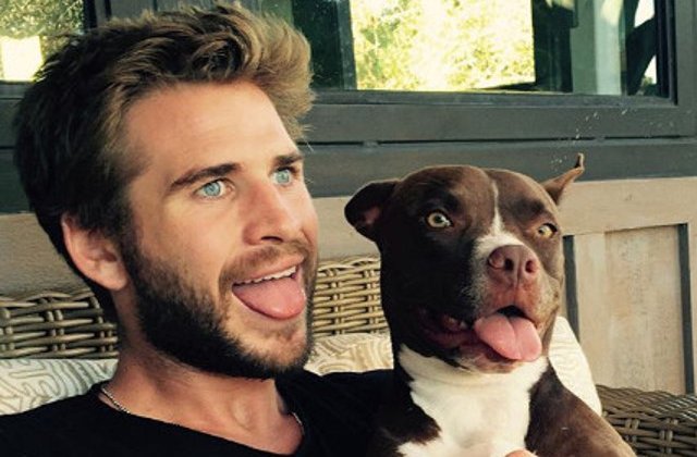 Celebritatile si "notiunea de distractie": 10+ imagini care arata ca exista vedete carora nu le pasa de aparente