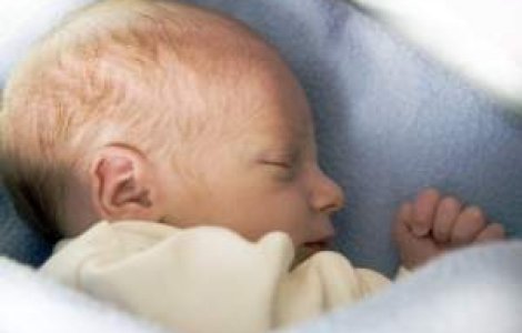 Internet Corp. relanseaza Kidz.ro: Primul pas in industria e-commerce