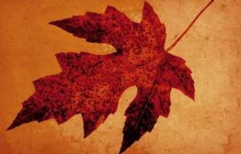 Boli de sezon care iti ameninta sanatatea