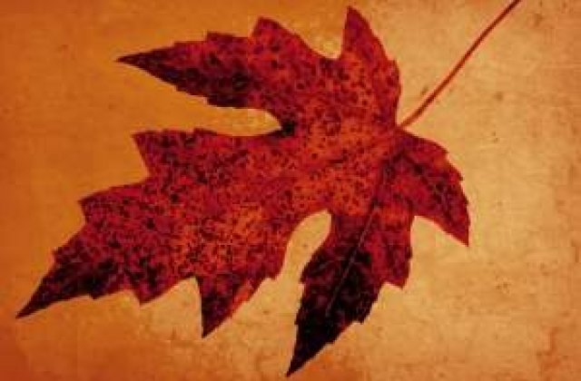 Boli de sezon care iti ameninta sanatatea