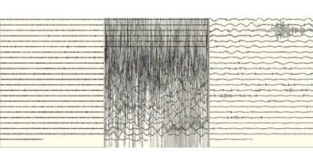 Alerta de tsunami dupa un cutremur cu magnitudinea de 7,7 in largul Canadei