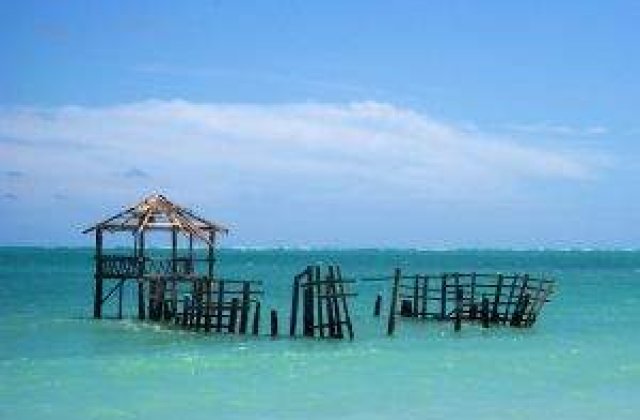 [UPDATE] Alerta de tsunami pentru Hawaii a fost ridicata