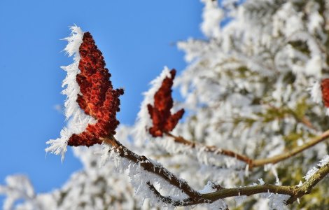 Vremea de Craciun. Temperaturile ar putea ajunge chiar pana la 20 de g