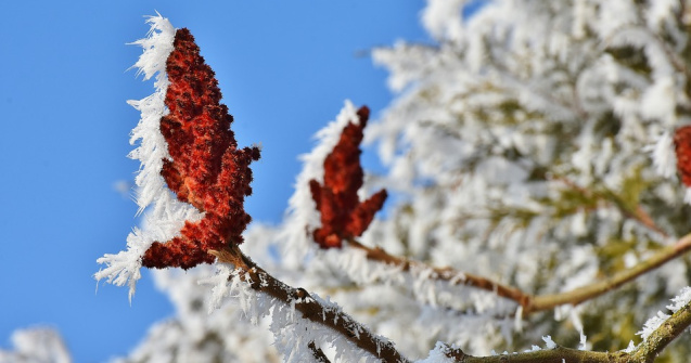 Vremea de Craciun. Temperaturile ar putea ajunge chiar pana la 20 de grade
