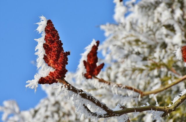 Vremea de Craciun. Temperaturile ar putea ajunge chiar pana la 20 de grade
