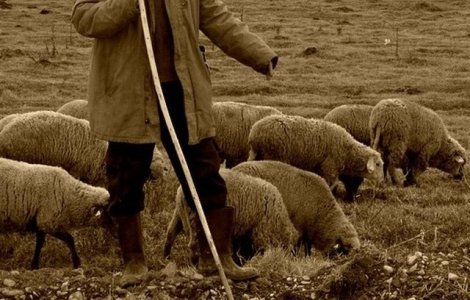 Un baiat de 13 ani, vandut de bunica lui pentru o capra si cativa bani