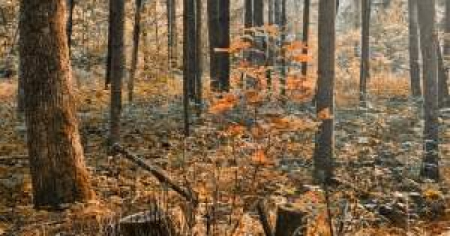 Vremea se incalzeste incepand de miercuri. Ce ne mai asteapta in noiembrie?