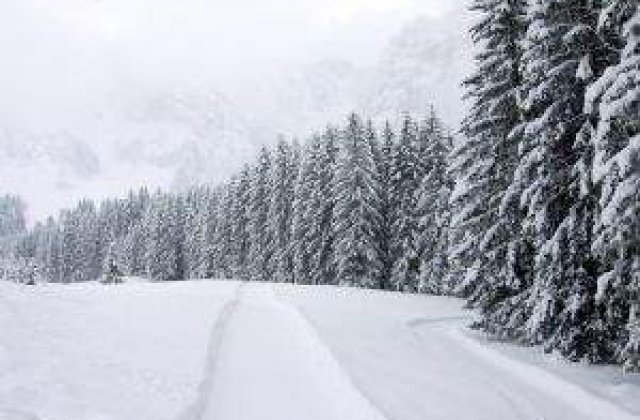 PRIMA ZAPADA. Ninge pe Valea Prahovei