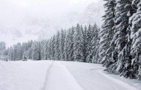 PRIMA ZAPADA. Ninge pe Valea Prahovei