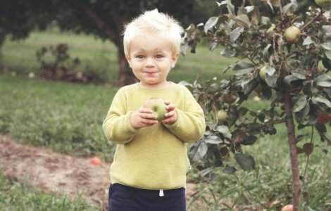 Metoda prin care ar putea creste apetitul copiilor pentru legume si fructe