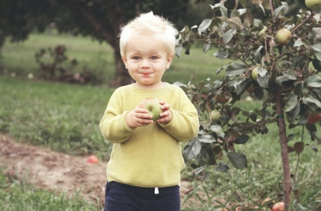 Metoda prin care ar putea creste apetitul copiilor pentru legume si fructe