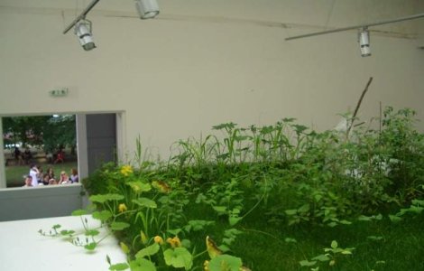 &#39;Cotidianul&#39; toarna gaz pe foc in arta romaneasca