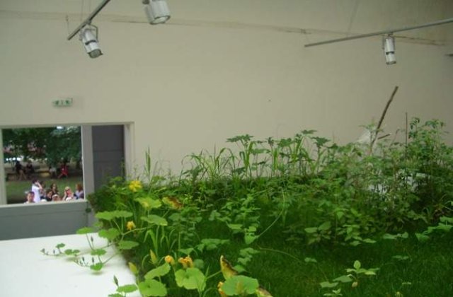 &#39;Cotidianul&#39; toarna gaz pe foc in arta romaneasca