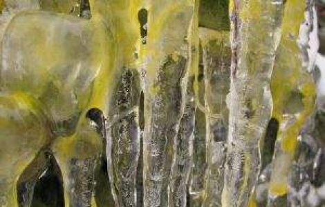 Primele victime ale frigului: 14 morti in Polonia