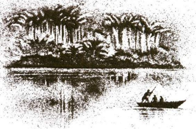 [FOTO] Ceaiul devine o opera de arta