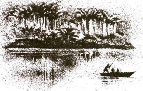  Foto  Ceaiul devine o opera de arta