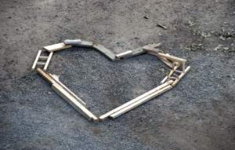 Sloganul de campanie al ARD va fi "Reporneste inima Romaniei"