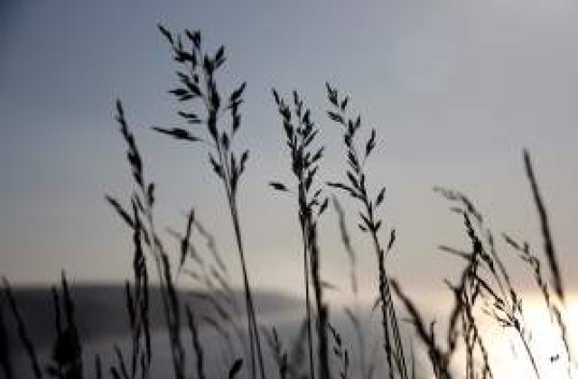 Cod galben de vant in partea de Vest a tarii