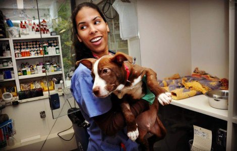  Top  10 poze emotionante cu animale salvate in timpul uraganului Sandy