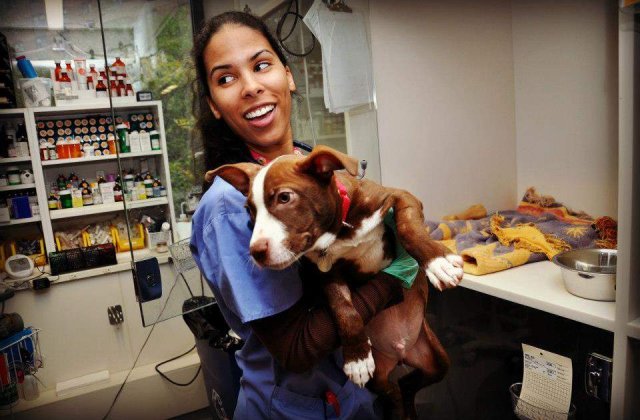 10 poze emotionante cu animale salvate in timpul uraganului Sandy