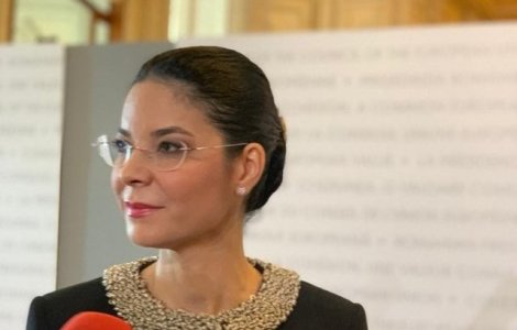 Birchall: Se impune adoptarea unui proiect de lege pentru desfiintarea