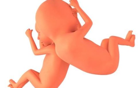 Vor primi cadou mulajul copiilor lor nenascuti