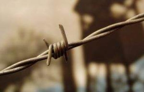 Breivik se plange ca nu are Internet la inchisoare: "Este inuman!"