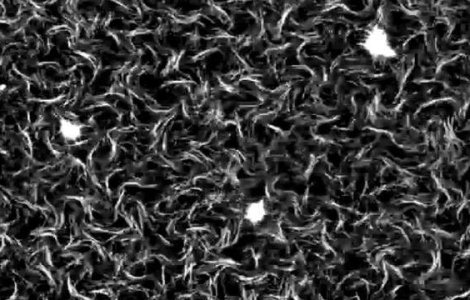 S-a creat, in laborator, substanta care se deplaseaza singura