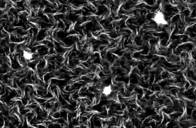 S-a creat, in laborator, substanta care se deplaseaza singura