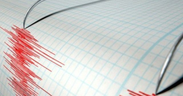 Cutemur de 3,2 grade pe scara Richter in Vrancea