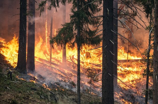 Imaginea saptamanii: Devastatoarele incendii din Australia, vazute din spatiu