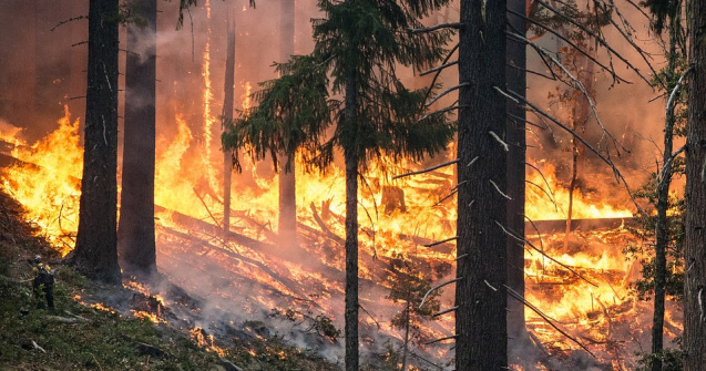 Imaginea saptamanii: Devastatoarele incendii din Australia, vazute din