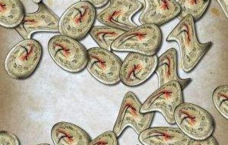  Top  Amprenta timpului: Personalitatile marcante ale lunii noiembrie