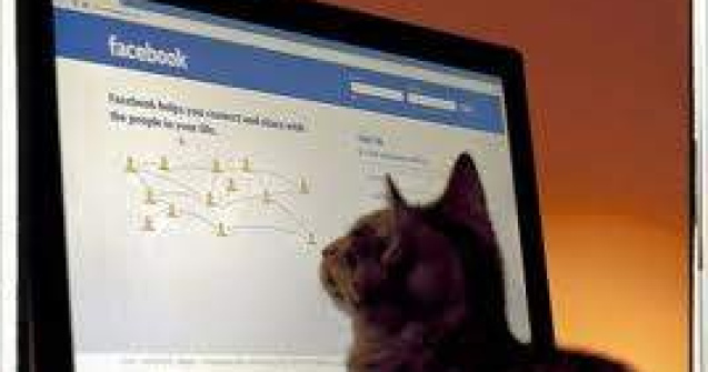 Facebook lanseaza pagina de cuplu. Persoanele singure nu raman pe afara!