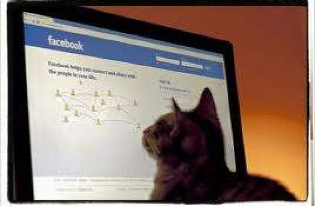 Facebook lanseaza pagina de cuplu. Persoanele singure nu raman pe afara!