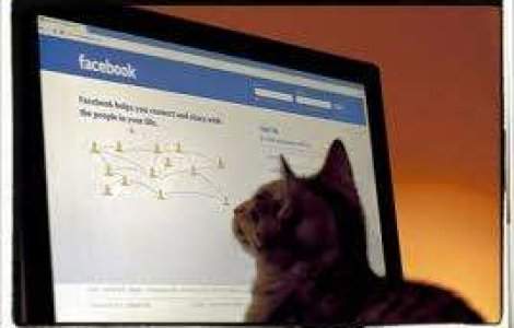 Facebook lanseaza pagina de cuplu. Persoanele singure nu raman pe afara!