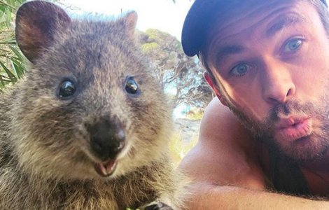  Top  10+ staruri care doneaza sume mari de bani pentru incendiile din Austr