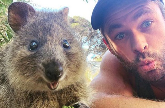 Vedete cu suflet mare: 10+ staruri care doneaza sume mari de bani pentru stingerea incendiilor din Australia