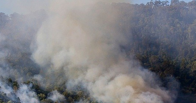 Peste 40 de artisti romani organizeaza o licitatie de donatii pentru A