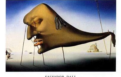  Top  Sieste celebre: 7 barbati faimosi pentru care puiul de somn era SACRU