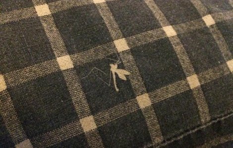  Top  10+ fotografii dedicate persoanelor carora le place sa invete ceva nou