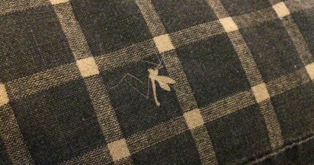  Top  10+ fotografii dedicate persoanelor carora le place sa invete ceva nou