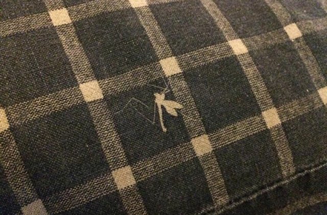 10+ fotografii dedicate persoanelor carora le place sa invete ceva nou zilnic