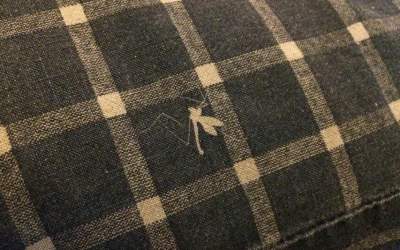 10+ fotografii dedicate...