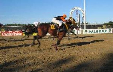 Bucuresti are nevoie de cai! Oprescu vrea sa construiasca Hipodrom