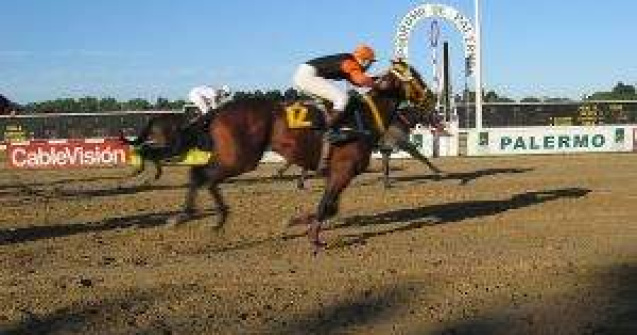 Bucuresti are nevoie de cai! Oprescu vrea sa construiasca Hipodrom