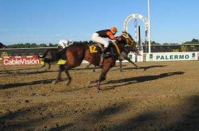 Bucuresti are nevoie de cai! Oprescu vrea sa construiasca Hipodrom