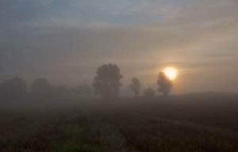 Meteo: Vreme mohorata, ceata si burnita la inceput de saptamana